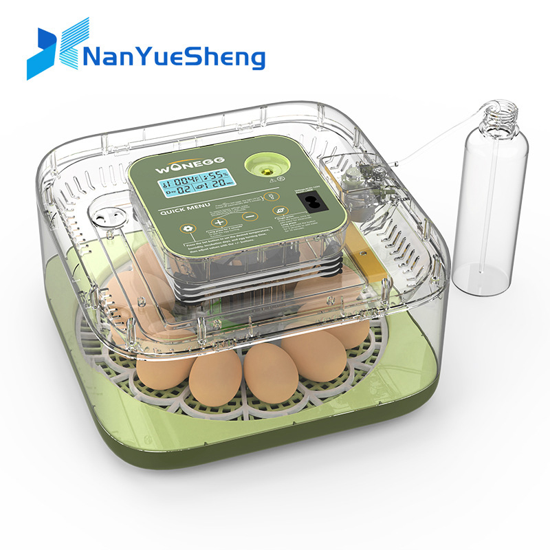 Nuova macchina per l'incubatri - Quail Egg Incubator recensione e prezzo