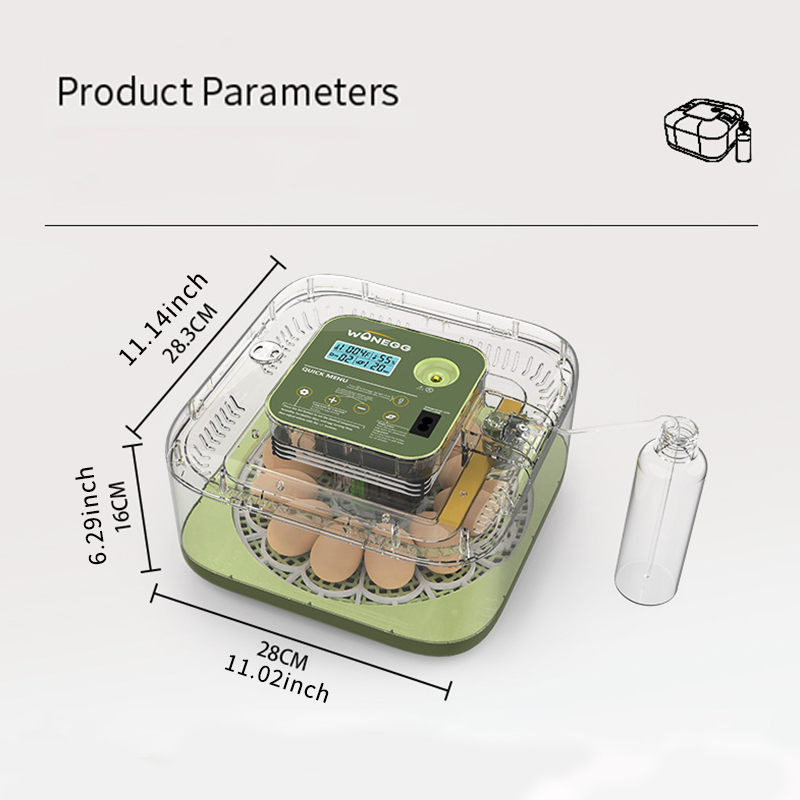 Nuova macchina per l'incubatri - Quail Egg Incubator recensione e prezzo