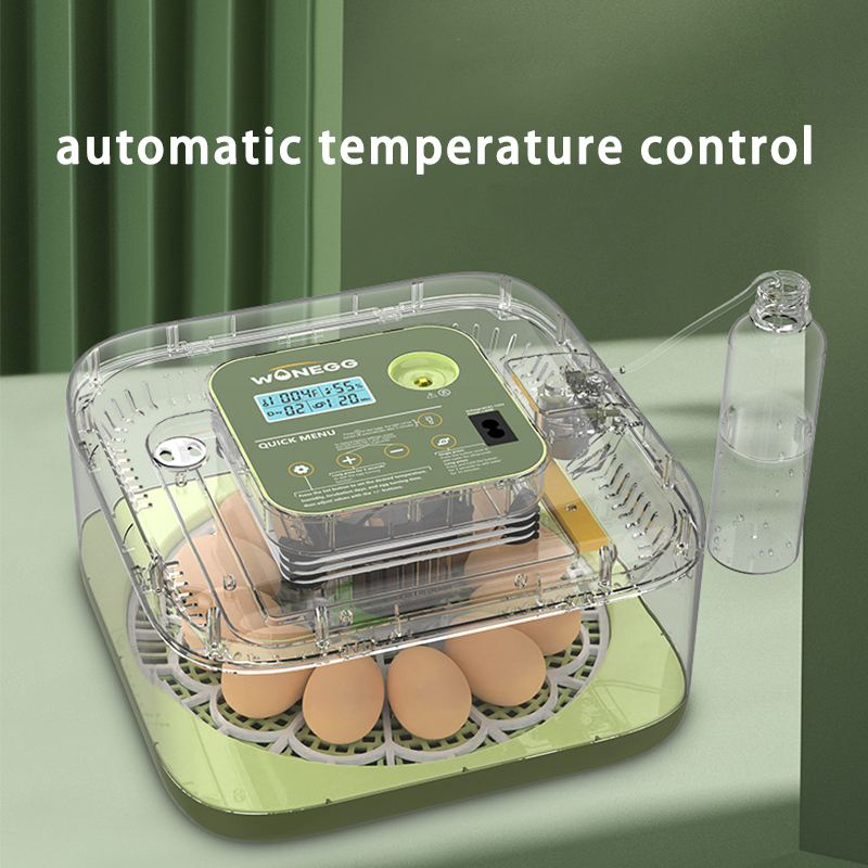Nuova macchina per l'incubatri - Quail Egg Incubator recensione e prezzo