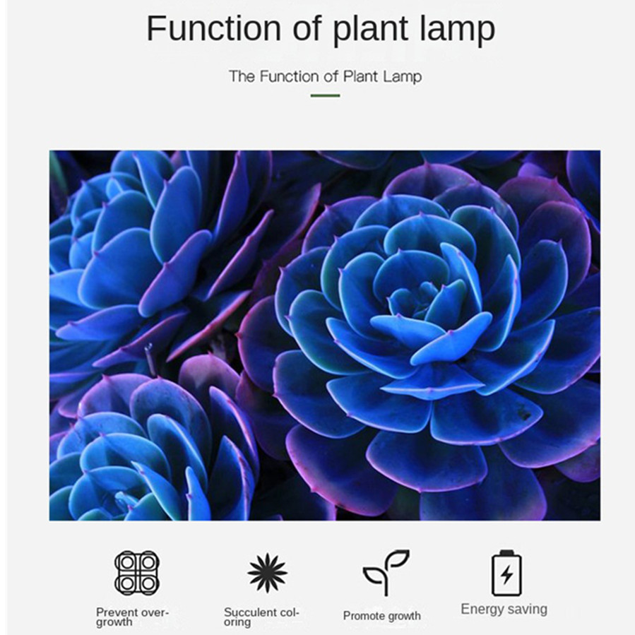 PwwQmm LED Pianta Coltiva La L - Plant Growth Regulator recensione e prezzo