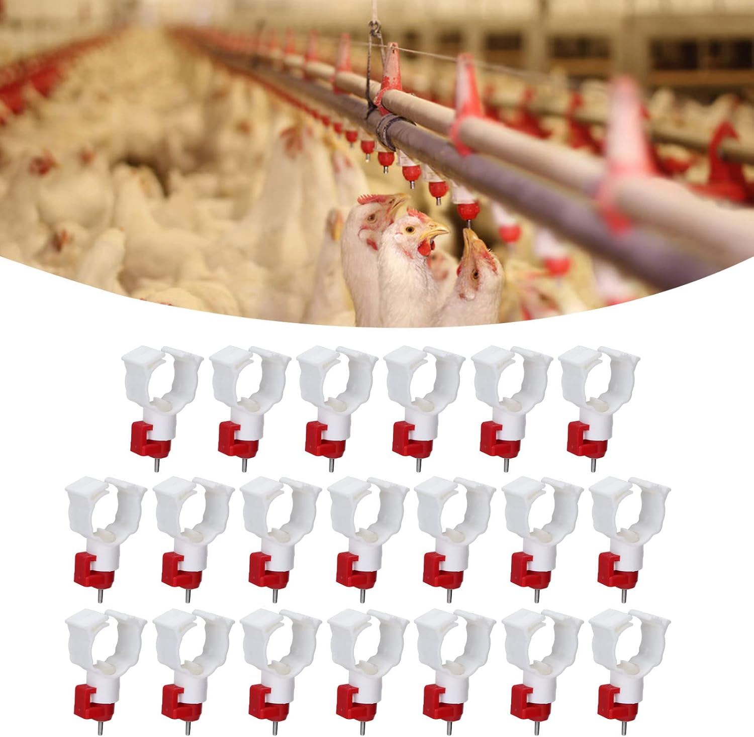Abbeveratoio per capezzoli per - Chicken Nipple Drinker recensione e prezzo