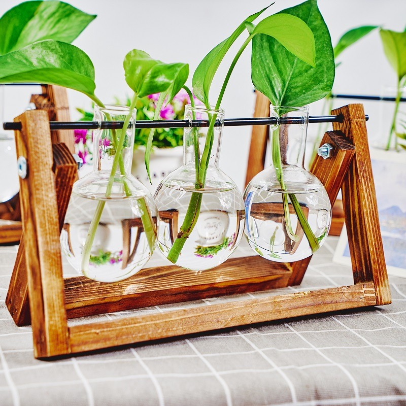 Fioriera da tavolo in vetro St - Plant Growth Regulator recensione e prezzo