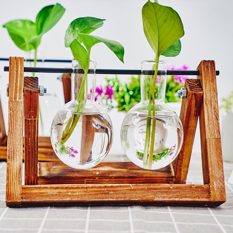 Fioriera da tavolo in vetro St - Plant Growth Regulator recensione e prezzo