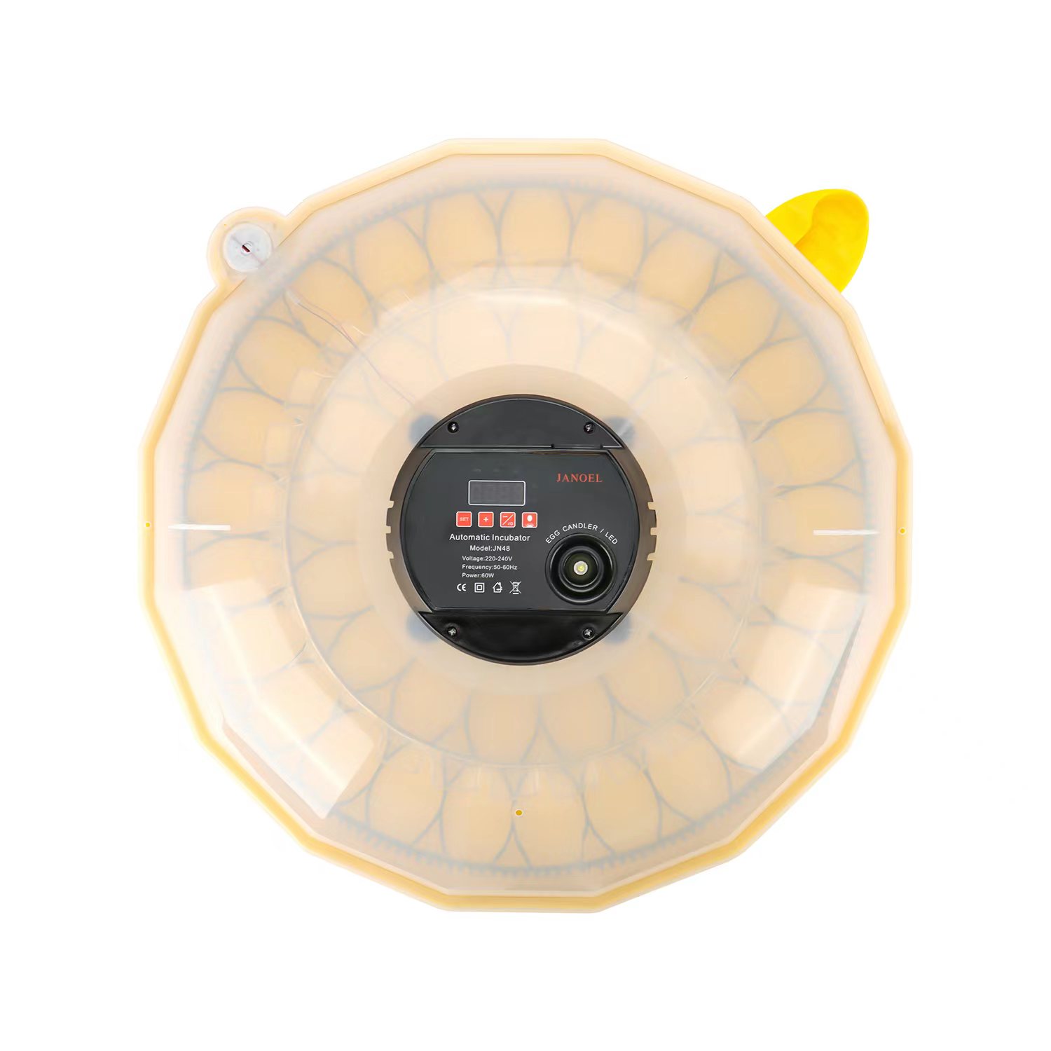 Mini Incubatrice per Uova con  - Quail Egg Incubator recensione e prezzo