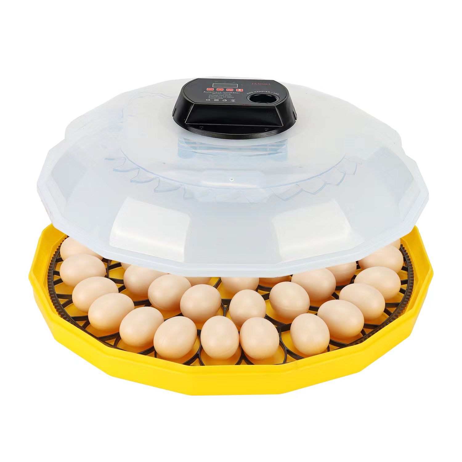 Mini Incubatrice per Uova con  - Quail Egg Incubator recensione e prezzo
