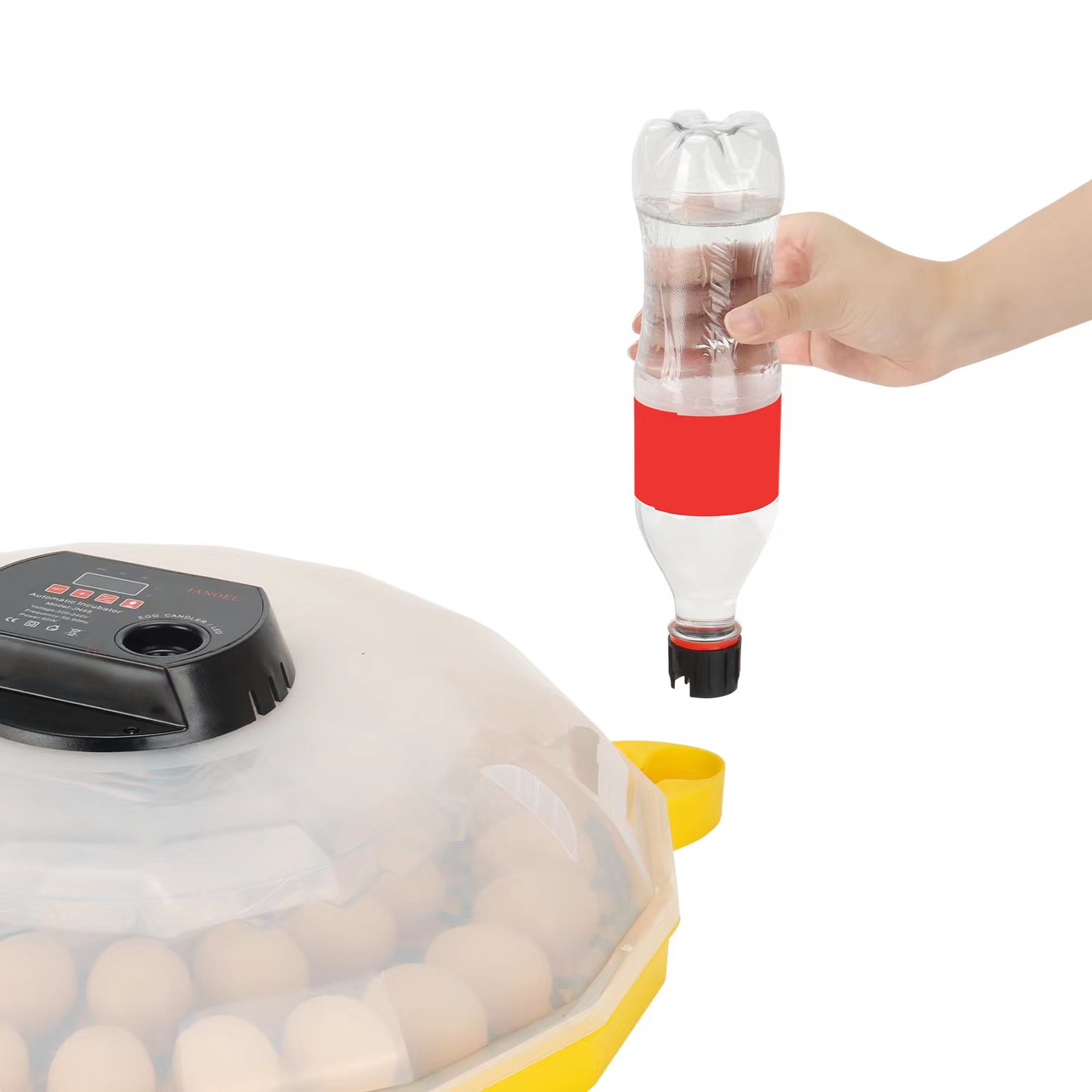 Mini Incubatrice per Uova con  - Quail Egg Incubator recensione e prezzo