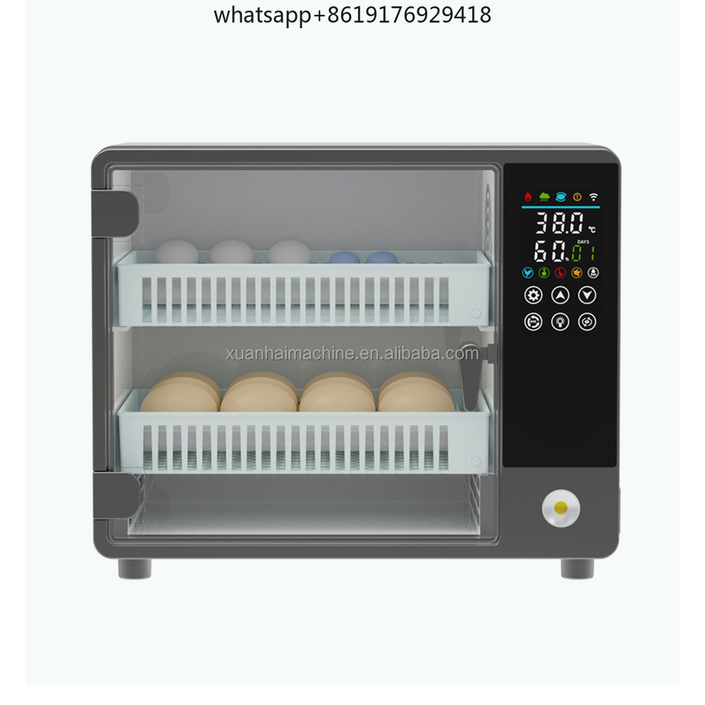 Automatico Intelligente Touch  - Quail Egg Incubator recensione e prezzo