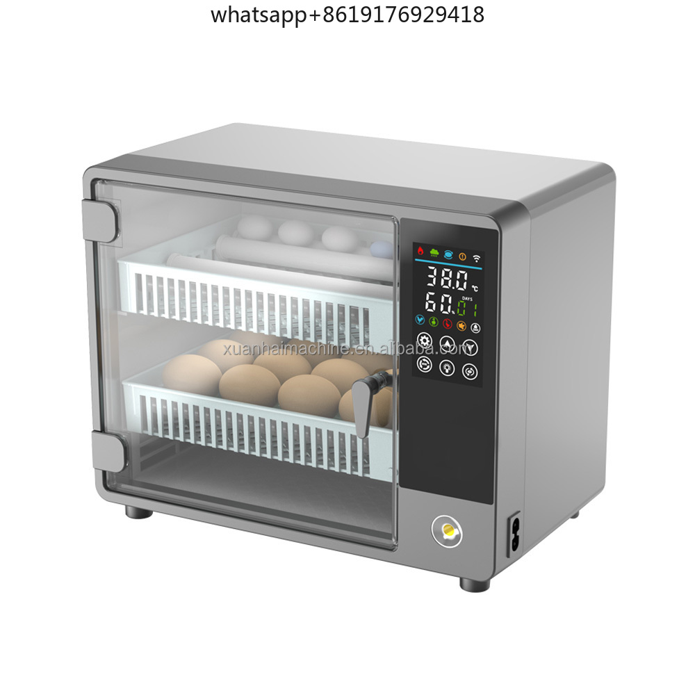 Automatico Intelligente Touch  - Quail Egg Incubator recensione e prezzo