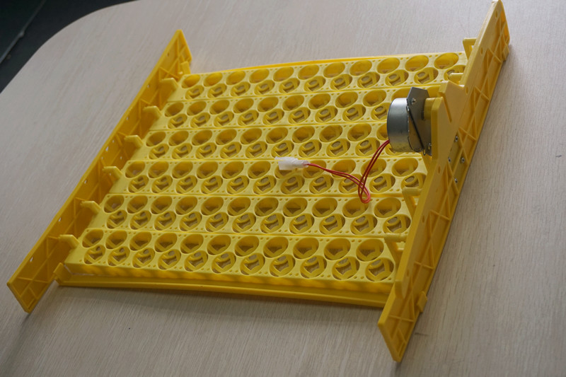 Vassoio dell'incubatrice dell' - Quail Egg Incubator recensione e prezzo