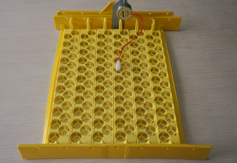 Vassoio dell'incubatrice dell' - Quail Egg Incubator recensione e prezzo