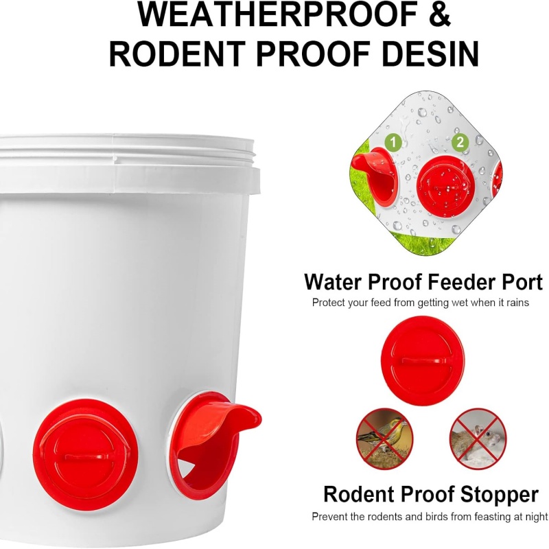 Mangiatoia automatica per poll - Chicken Nipple Drinker recensione e prezzo