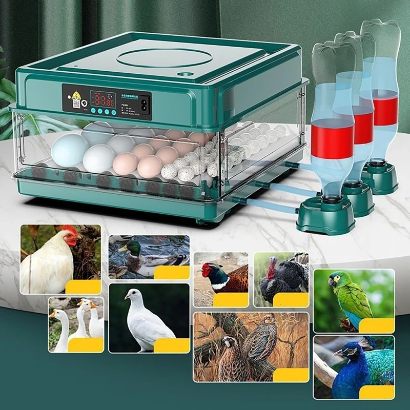 12 24 38 uova incubatrice Auto - Quail Egg Incubator recensione e prezzo
