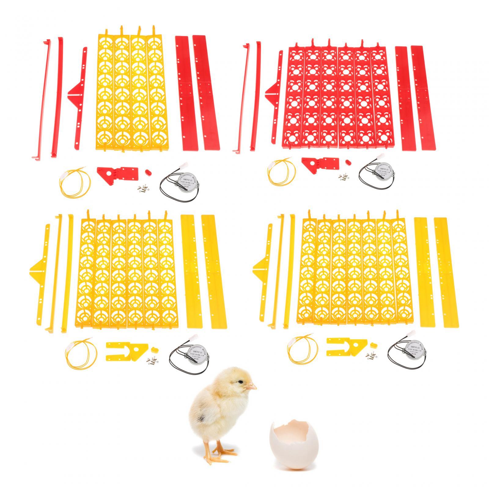 Vassoio per Incubatrice di Uov - Quail Egg Incubator recensione e prezzo